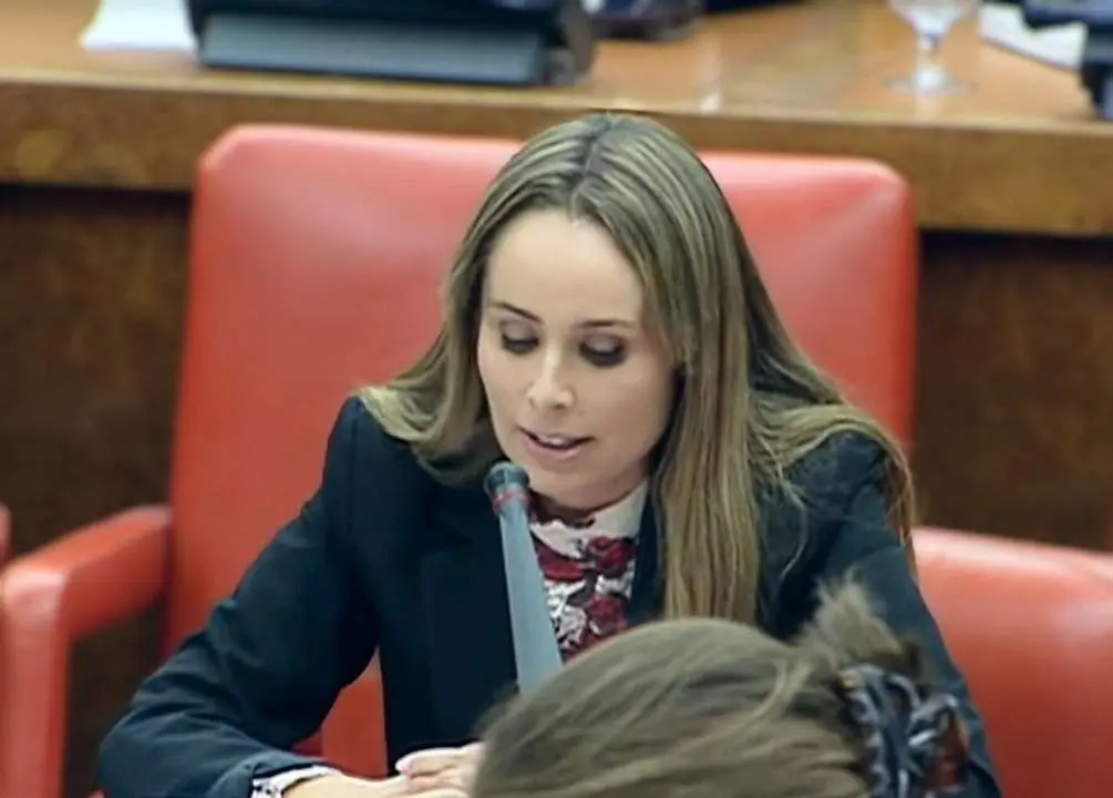 La diputada socialista Eva Bravo.  - Andaluc&iacute;a Informaci&oacute;n