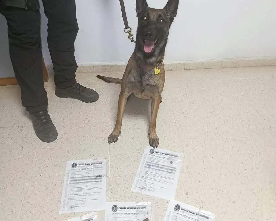 Agente de la Unidad Canina de la Polic&iacute;a Local de Barbate. - 