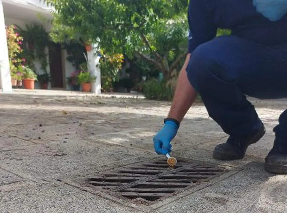 Una de las actuaciones llevadas a cabo. - 