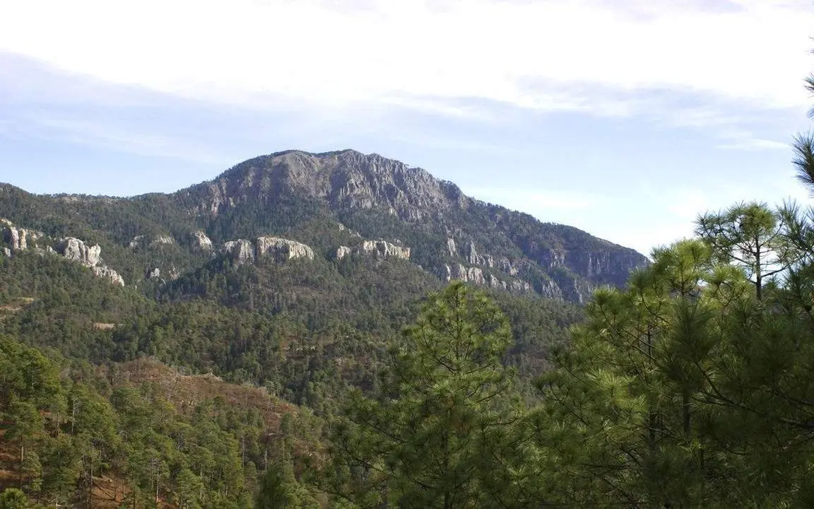 SIERRA TARAHUMARA (M&Eacute;XICO) - 
