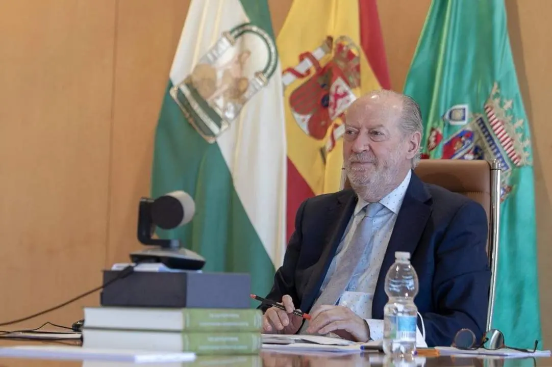 El presidente de la Diputaci&oacute;n de Sevilla, Fernando Rodr&iacute;guez Villalobos, en una imagen de archivo. - FAMP