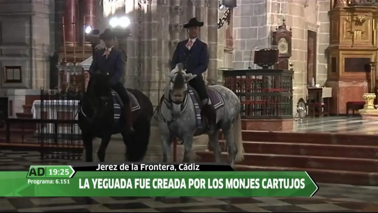 Captura del reportaje de Canal Sur en el interior de San Miguel - Canal Sur