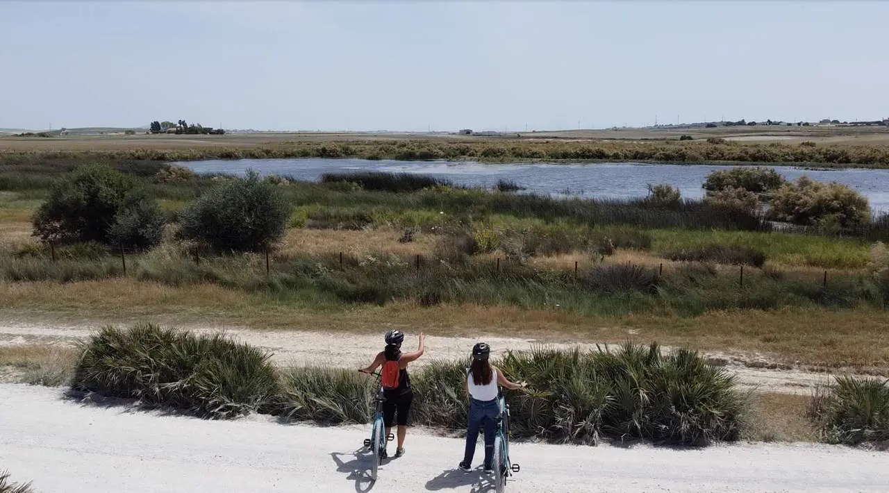 Ruta en bici.  - Viva.