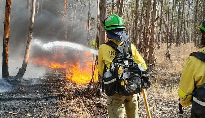 Lucha contra el fuego en Almonte. - INFOCA