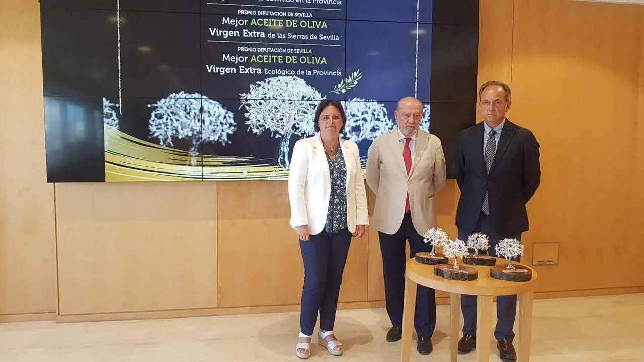 Villalobos tras el anuncio del fallo del jurado. - Dipu