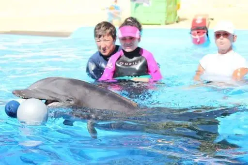 Paula en la terapia de delfines en la que ha estado esta &uacute;ltima semana en Benidorm. - Cedida