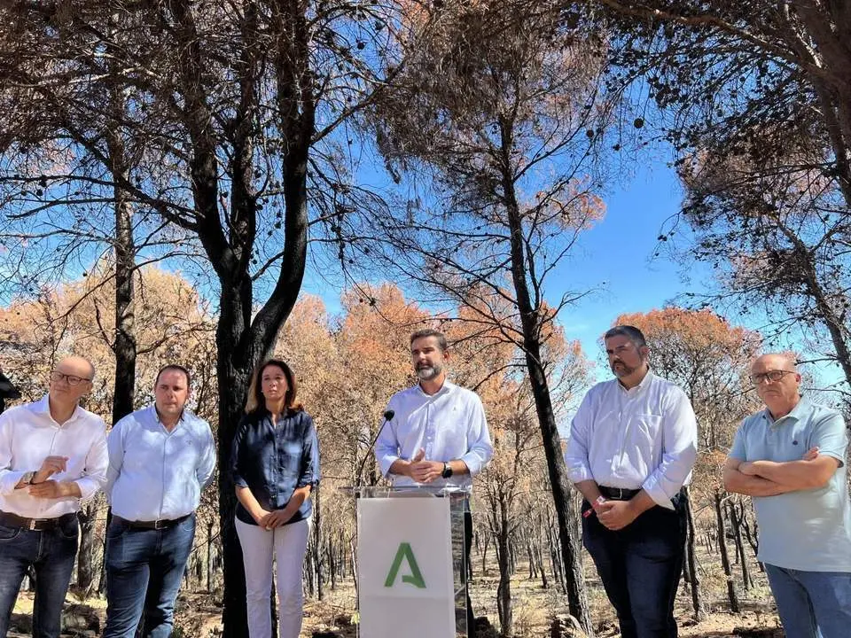 El consejero de Sostenibilidad, Medio Ambiente y Econom&iacute;a Azul, Ram&oacute;n Fern&aacute;ndez-Pacheco, anuncia las acciones para la zona afectada por el incendio de El Higuer&oacute;n. - EP