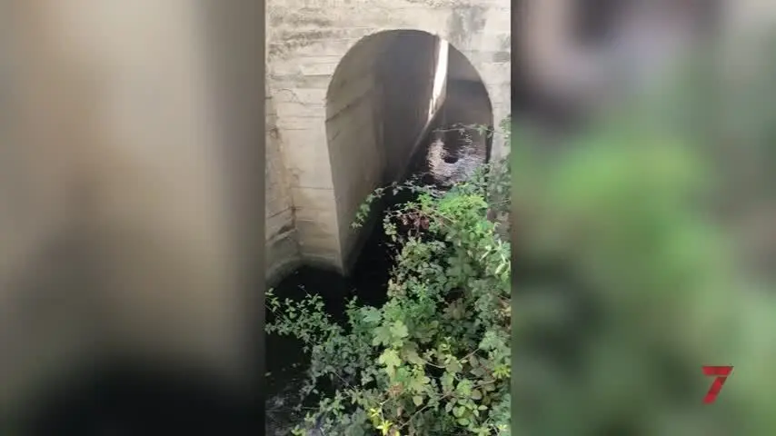 Ecologistas alerta del vertido de agua potable al cauce de un arroyo en Jerez