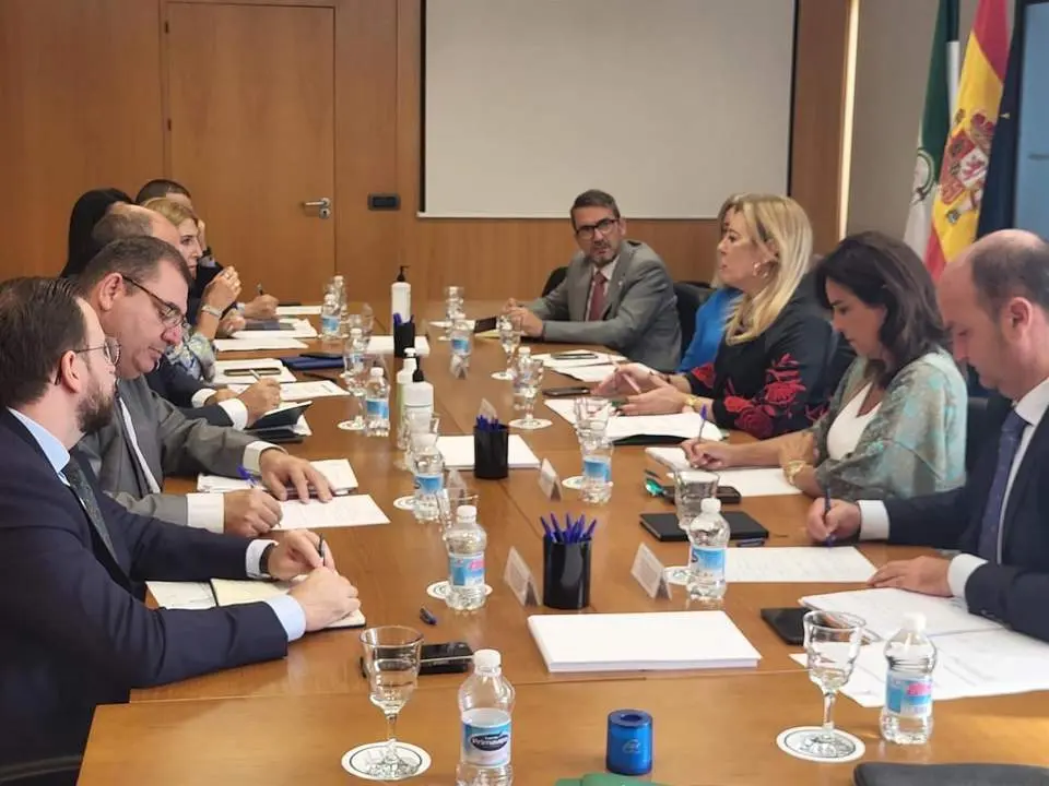 Reuni&oacute;n de la consejera de Econom&iacute;a, Hacienda y Fondos Europeos, Carolina Espa&ntilde;a, con los delegados territoriales del ramo. - Junta