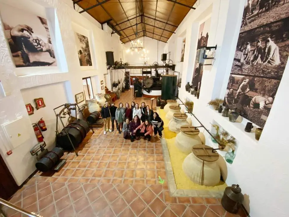 Museo del Aceite de Alcal&aacute; Oliva.  - 
