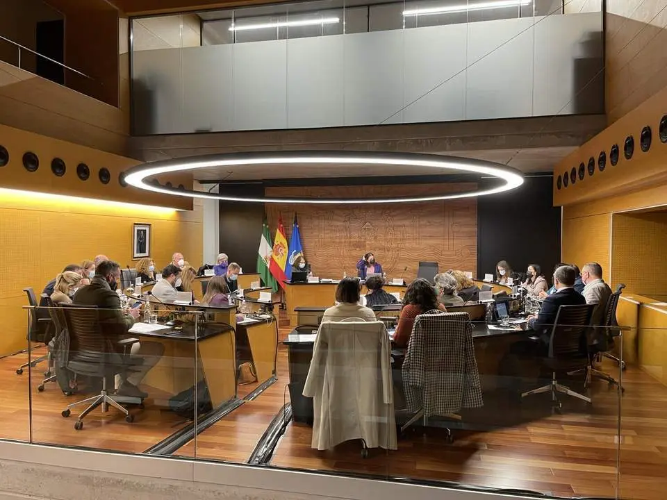 Pleno municipal. - Archivo