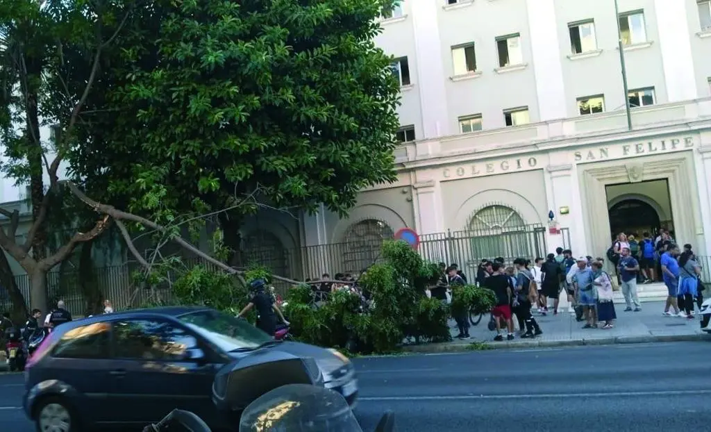 Los hechos se produjeron el pasado mi&eacute;rcoles por la tarde.  - Ayuntamiento de C&aacute;diz