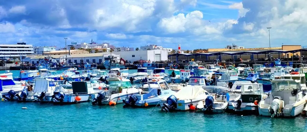 Puerto de Barbate. - Barriento