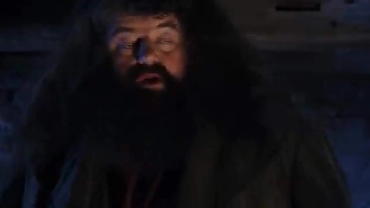 Muere Robbie Coltrane, Hagrid en 'Harry Potter', a los 72 a&ntilde;os
