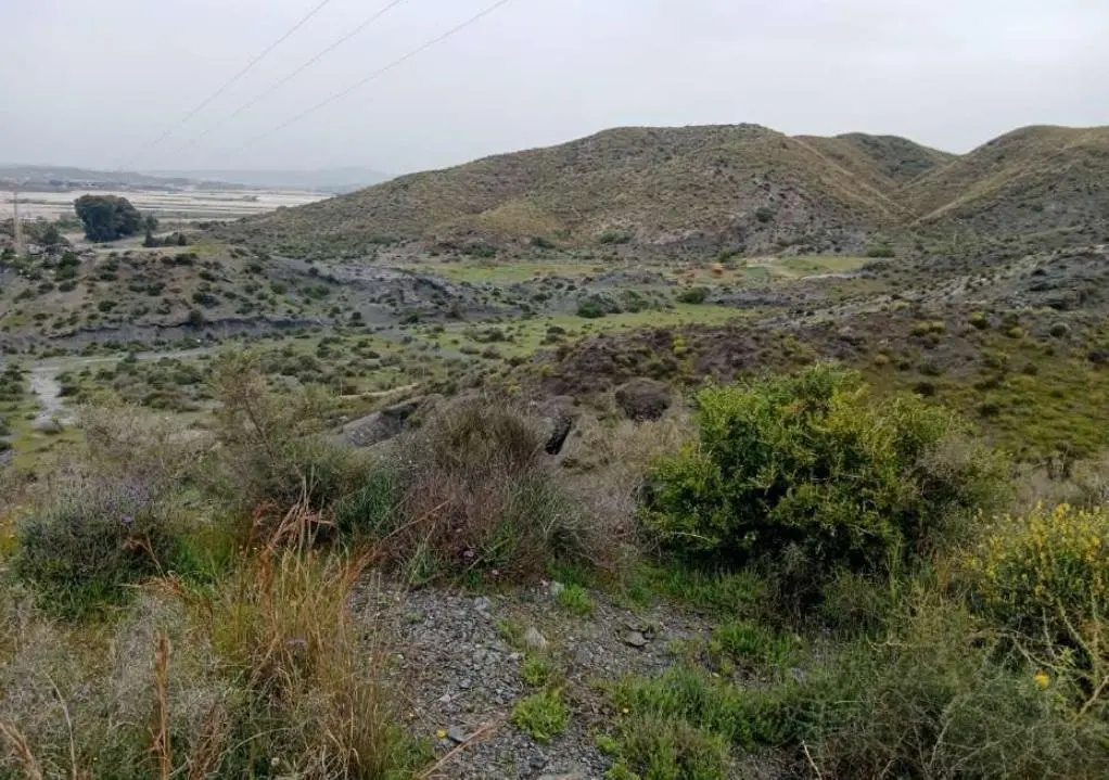 Vista del yacimiento arqueol&oacute;gico de Villaricos. - Europa Press