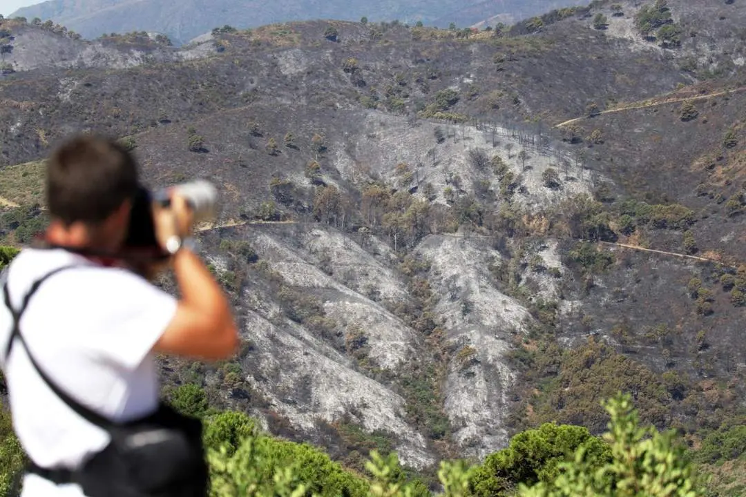 Incendio en Pujerra. - &Aacute;lex Zea/Europa Press