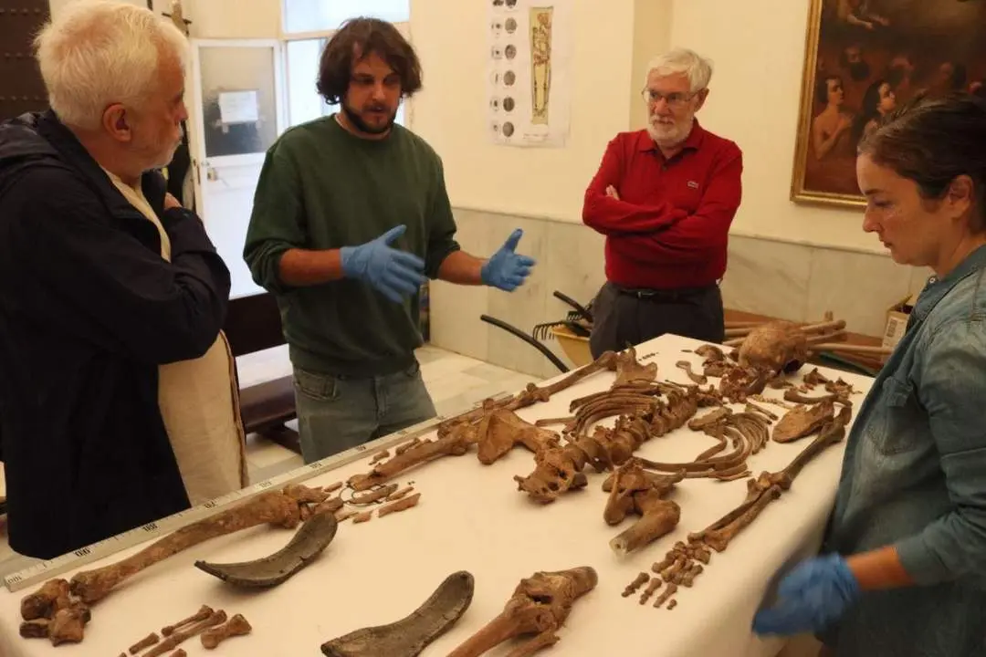 El familiar de este vecino de C&aacute;diz entreg&oacute; la muestra del ADN al Ayuntamiento. - Ayuntamiento de C&aacute;diz