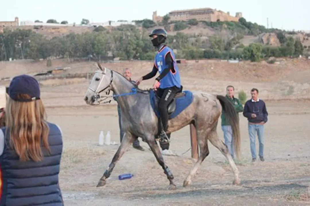 La Real Sociedad de Carreras de Caballos de Sanl&uacute;car tuvo una brillante actuaci&oacute;n en Carmona - RSCCS