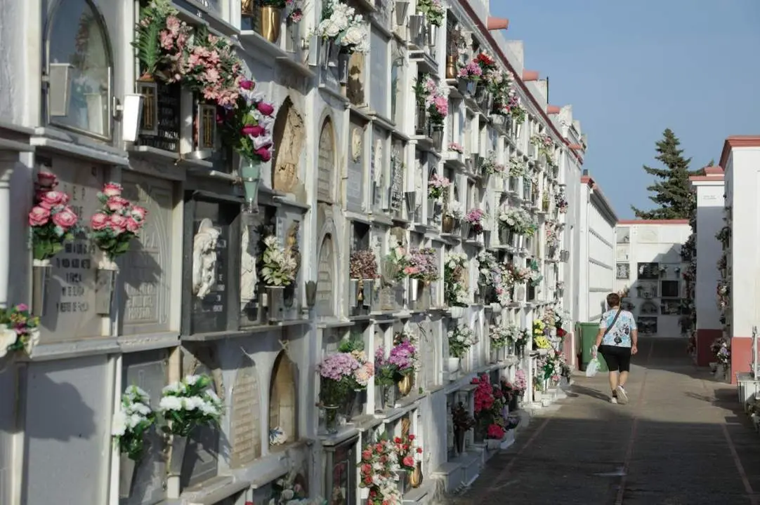 Cementerio de San Fernando. - ARCHIVO