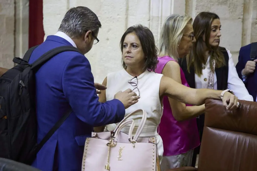 La consejera de Salud en el Parlamento. - Joaquin Corchero/Europa Press