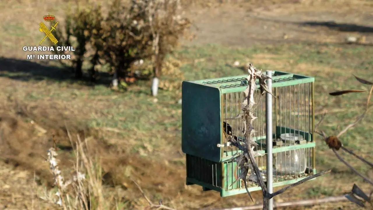 Una de las trampas intervenidas - Guardia Civil