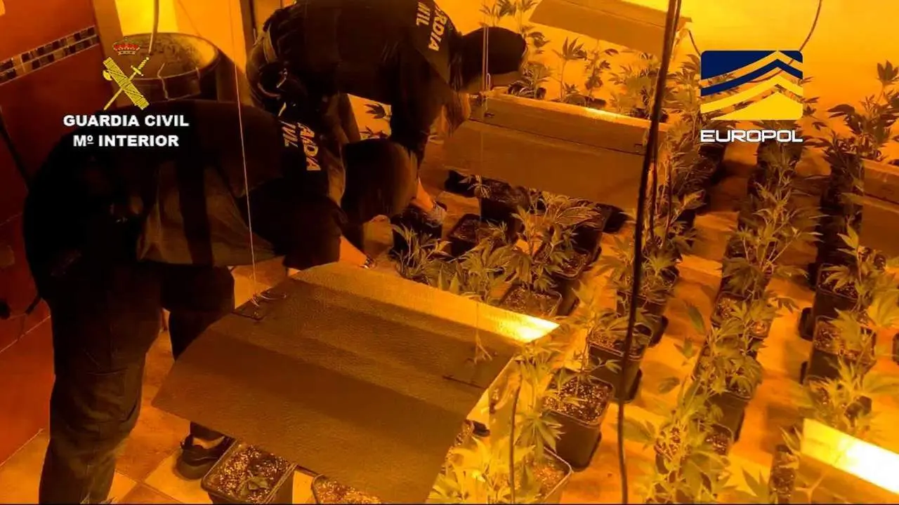 Operaci&oacute;n Zadar. - GUARDIA CIVIL