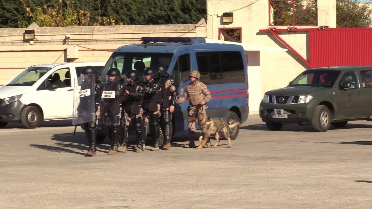 43 equipos cinol&oacute;gicos participan en el ejercicio 'Canex' de la Infanter&iacute;a de Marina