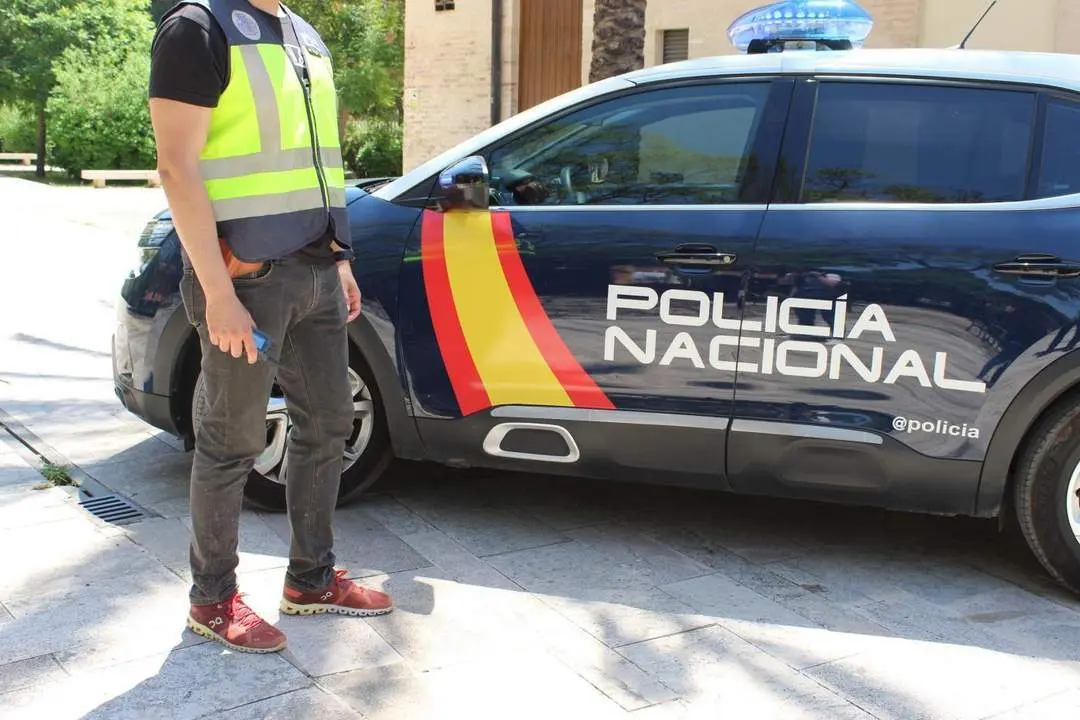 Un agente junto a un veh&iacute;culo de la Polic&iacute;a Nacional. - CNP