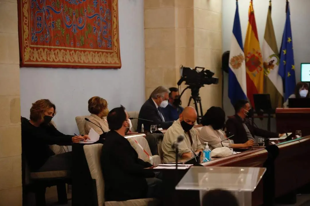 Los concejales de Adelante Jerez y Ganemos Jerez, junto a los del PSOE, en un pleno - Cristo Garc&iacute;a
