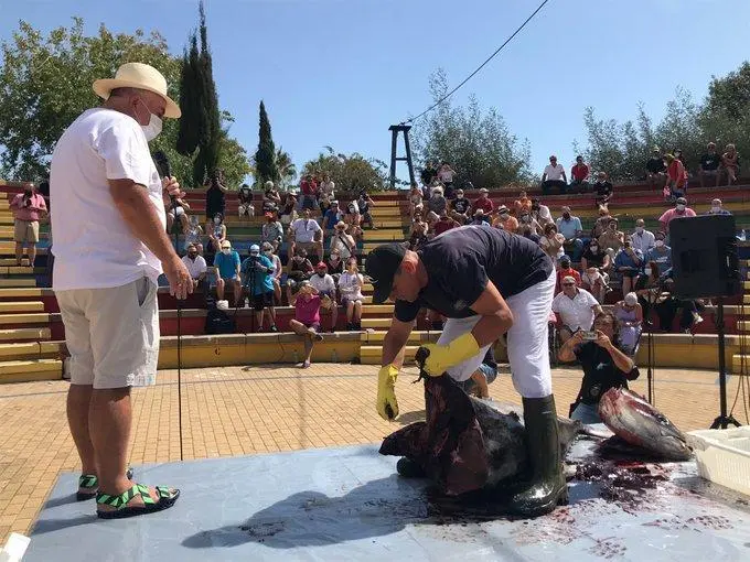 Acto de ronqueo de un at&uacute;n en Isla Cristina. - AYTO