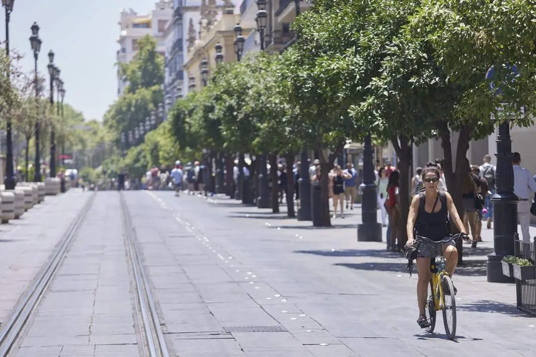 Ciclista en la avenida de la Constituci&oacute;n. - Europa Press