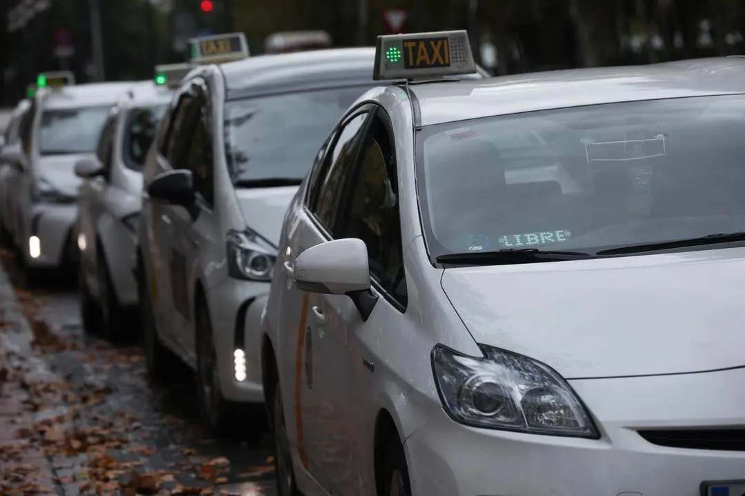 Varios taxis esperan turno en una parada. - EP