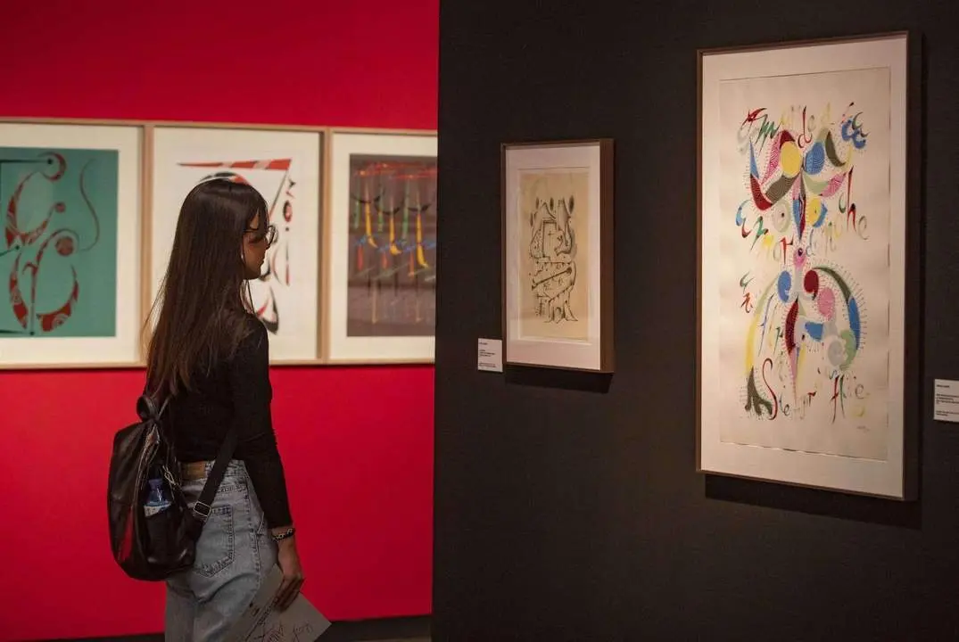 Una mujer visita la exposici&oacute;n en la inauguraci&oacute;n.  - Europa Press