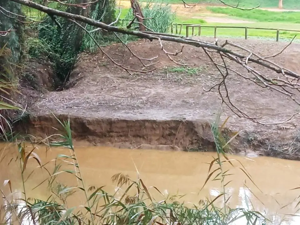 Acumulaci&oacute;n de toallitas en la ribera del r&iacute;o Guada&iacute;ra. - SALVEMOS EL GUADAIRA