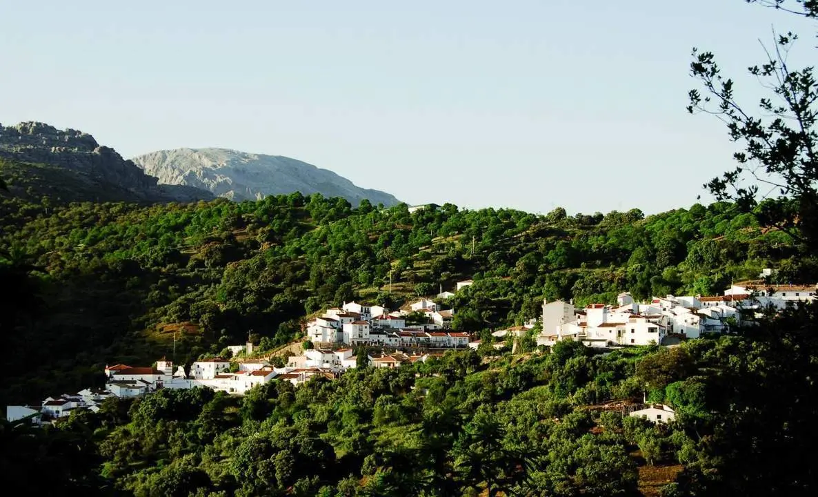 J&uacute;zcar fue uno de los municipios de la Serran&iacute;a afectados. - 