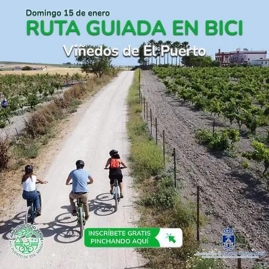 Ruta en bici. - Viva.