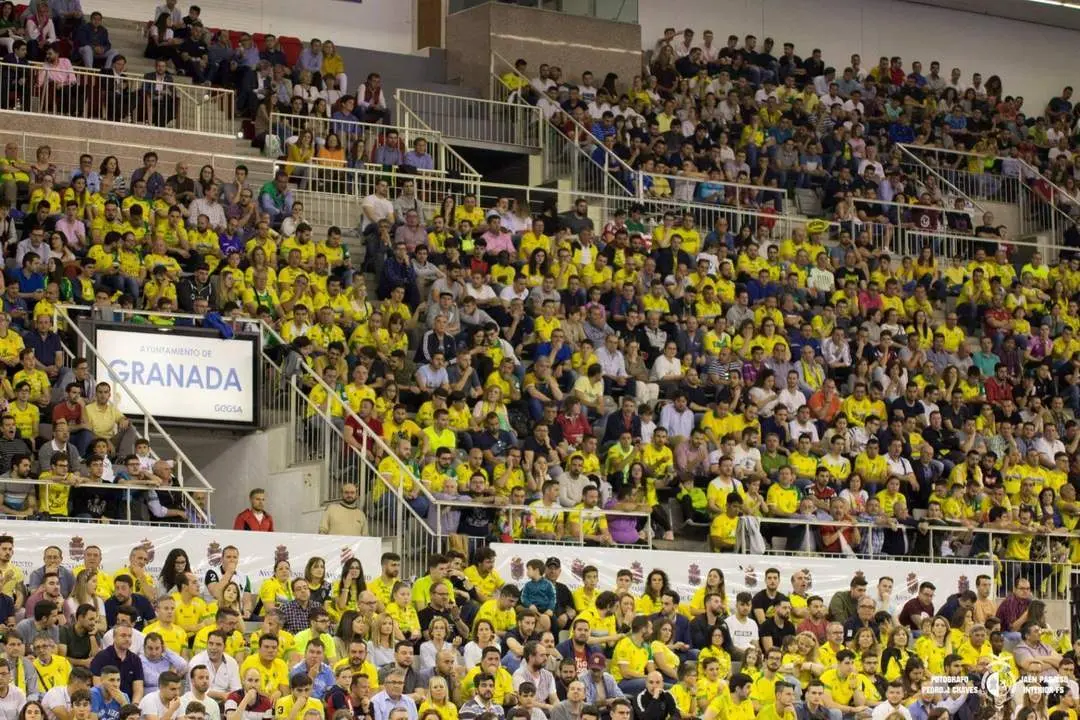 El Palacio de los Deportes de Granada volver&aacute; a vestirse de amarillo. - Pedro J. Chaves