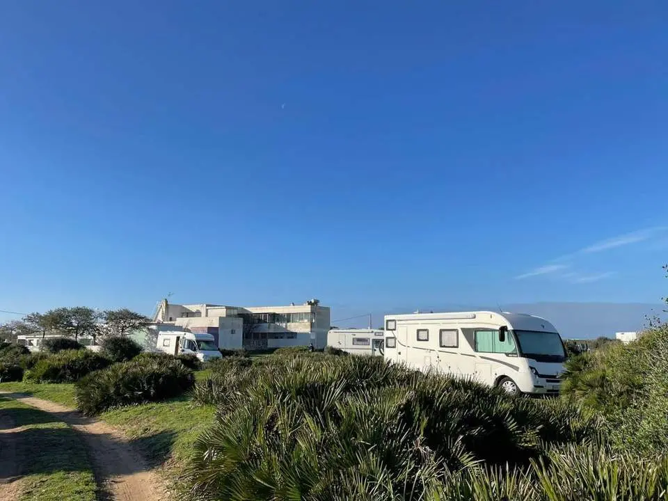 Dehesa El Palmar. - 