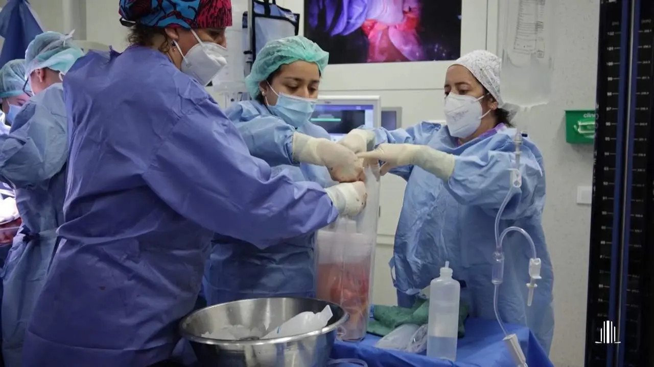 El Hospital Regional de M&aacute;laga es el primero andaluz en trasplantes de ri&ntilde;&oacute;n con 156