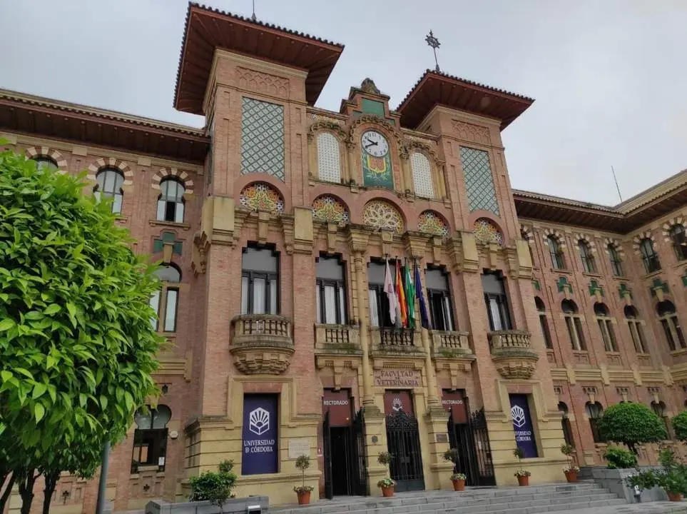 Rectorado de la Universidad de C&oacute;rdoba. - Europa Press