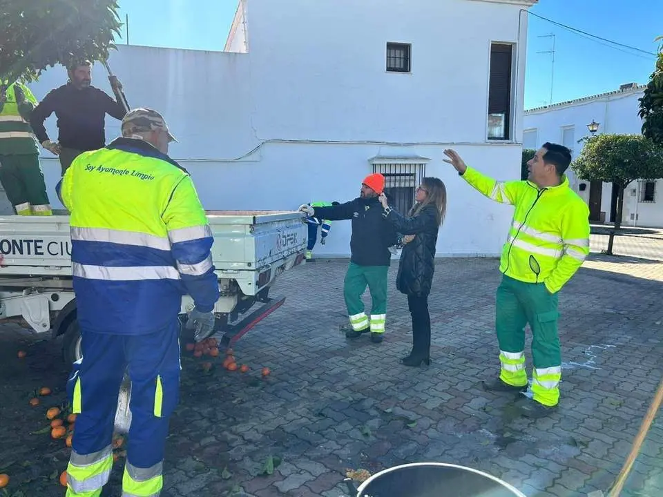 Visita de la alcaldesa a las tareas de poda - VCO