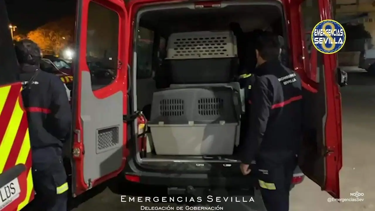 Cuatro bomberos del Ayuntamiento de Sevilla se unen al contingente de Turqu&iacute;a