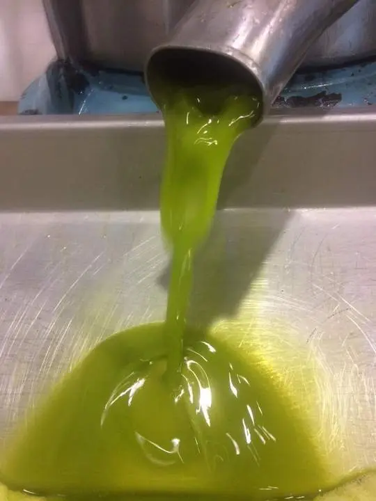 El aceite sigue siendo uno de los productos estrella. - Viva Ja&eacute;n