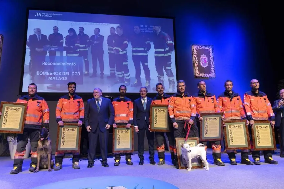 Los nueve bomberos que han recibido el reconocimiento.  - 