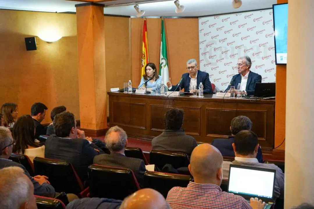 Presentaci&oacute;n del estudio econ&oacute;mico. - Ayto. M&aacute;laga