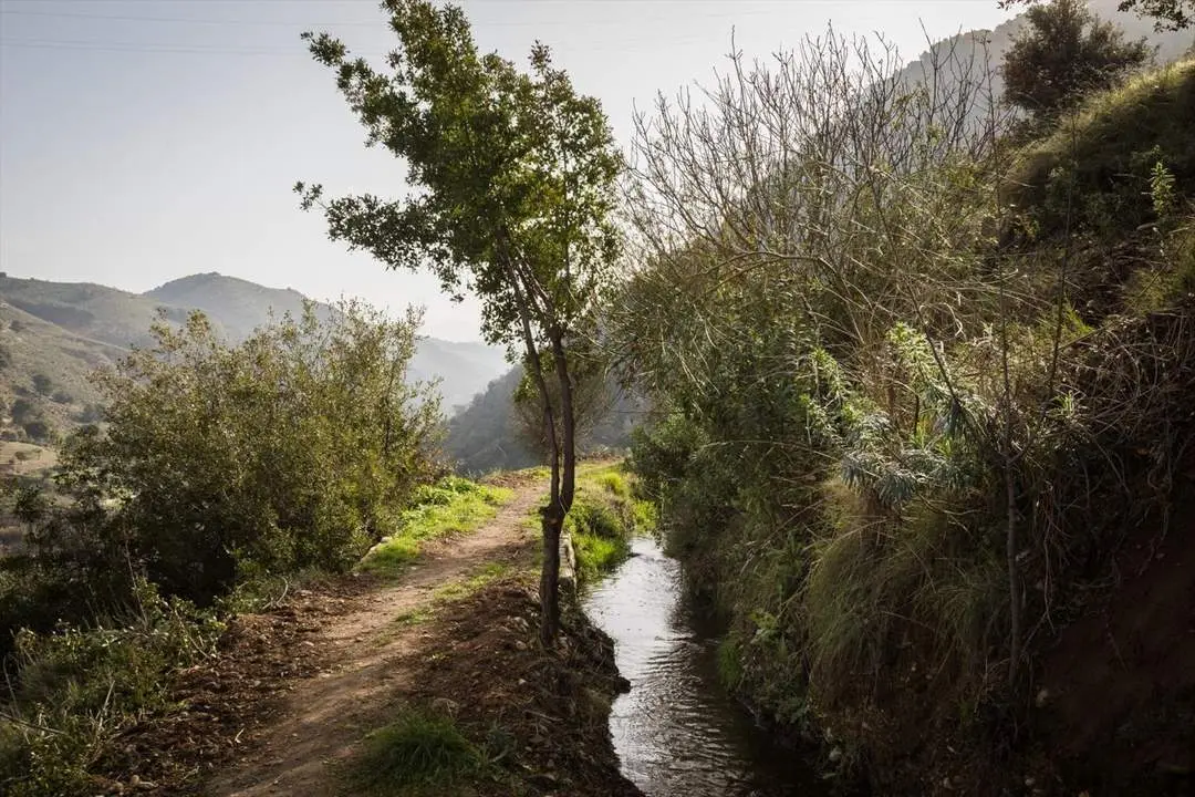 Acequia Real de la Alhambra. - JUNTA DE ANDALUC&Iacute;A