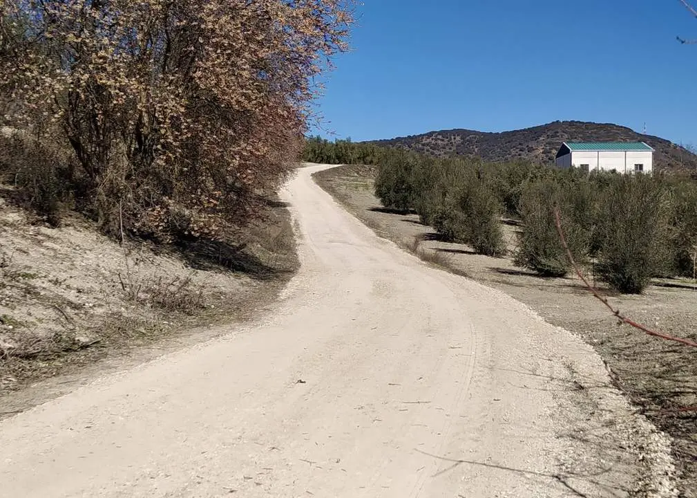 Uno de los caminos sobre los que se ha intervenido.  - 