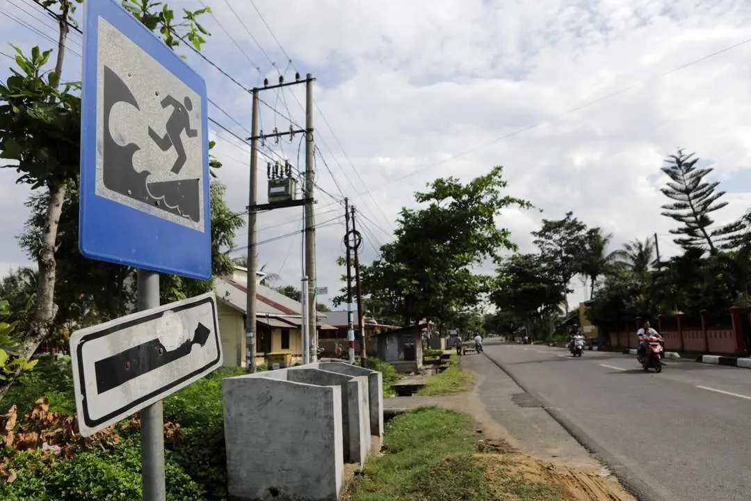 Se&ntilde;ales de v&iacute;as de evacuaci&oacute;n ante tsunamis.  - EFE