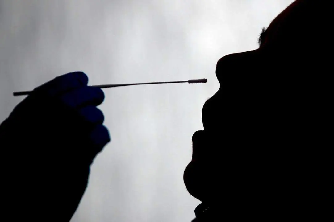 Test de coronavirus. - EFE
