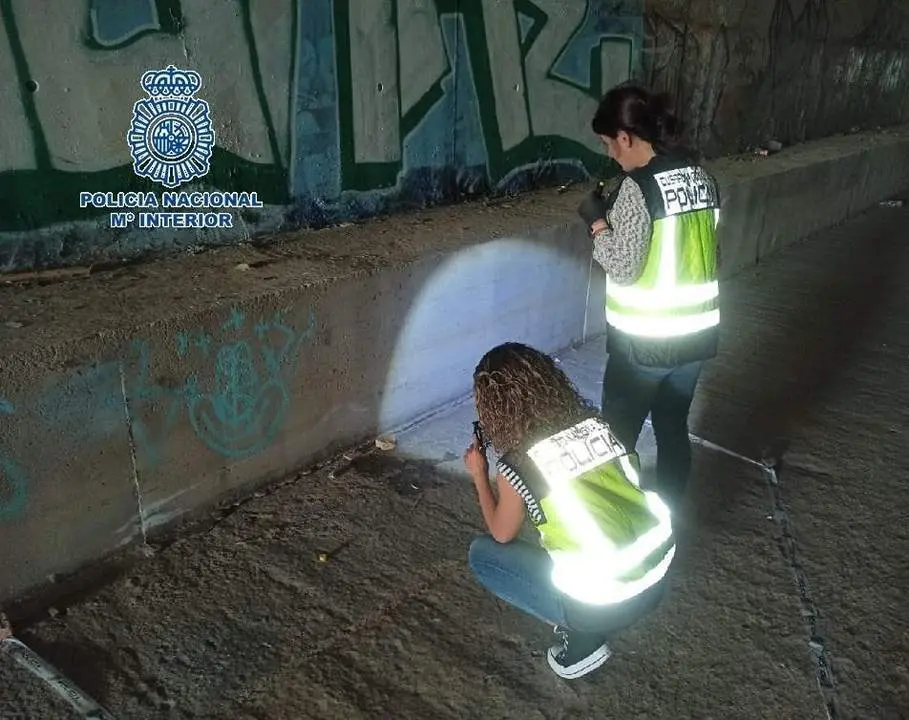 Investigaci&oacute;n sobre el terreno. - CNP